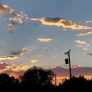 Meet your Posher, Carlisle